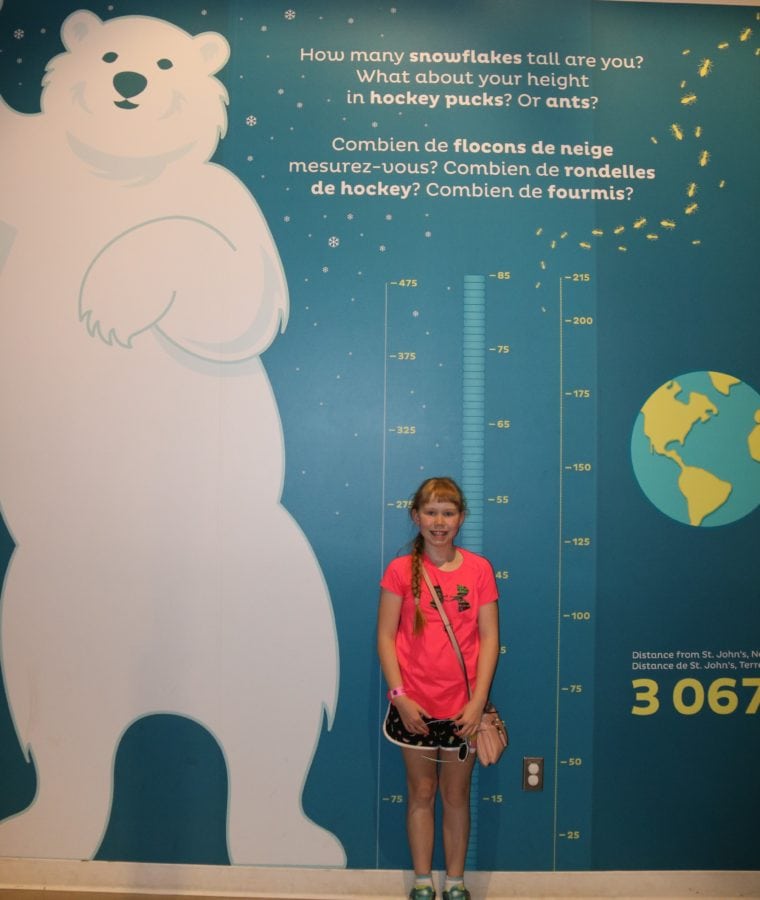 Ashley standing against a wall where her height can be measured in hockey pucks or compared to the height of a polar bear