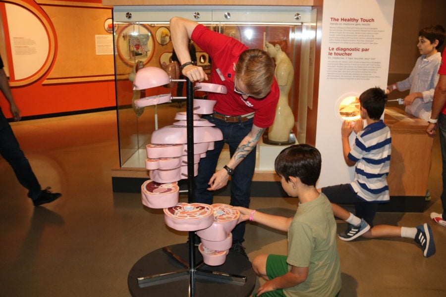 Caiden exploring the different parts inside the body Canada Science and Technology Museum