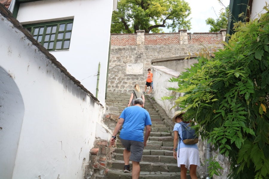image of all of us going up stairs on Danube Bend tour