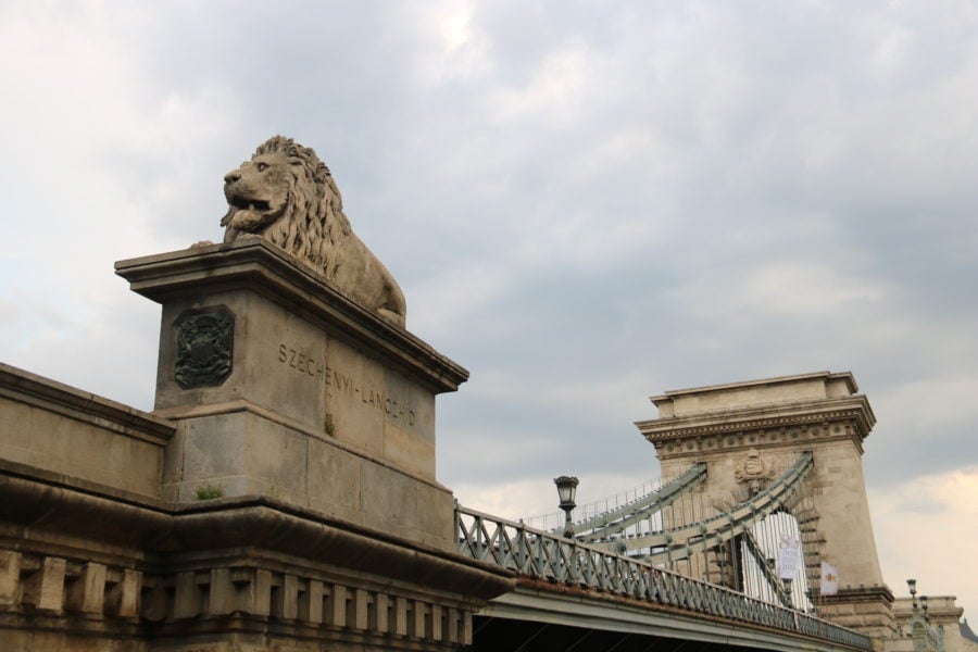 A close up of one of the lions at the beginning of the Chain Bridge