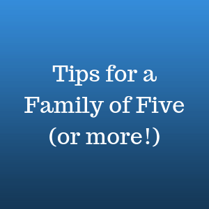 image states Tips for a Family of Five or more