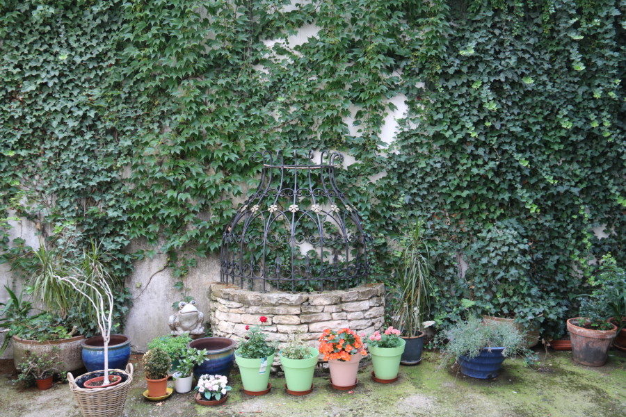 image of small garden and well 