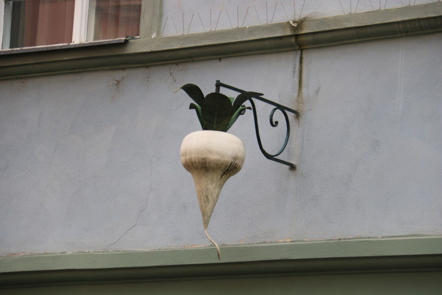 image of parsnip on Nerudova Prague