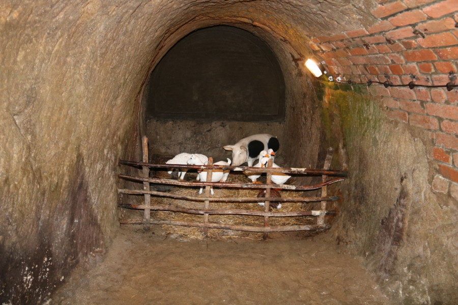 image of fake cows in cave in Tabor