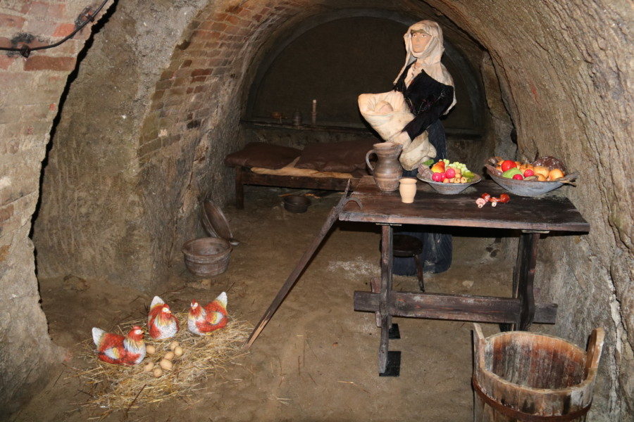 image of fake lady with table and chickens