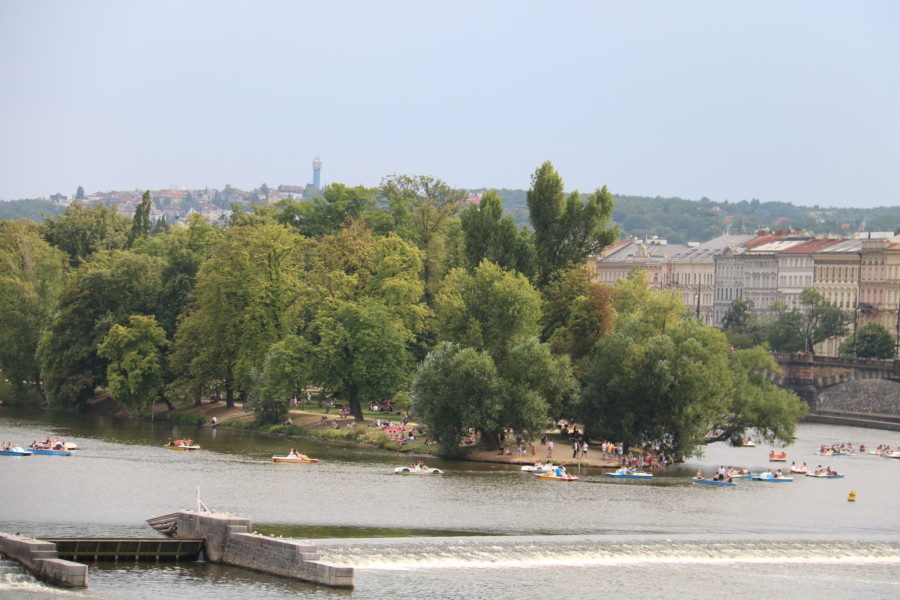 image of green island with beach near river