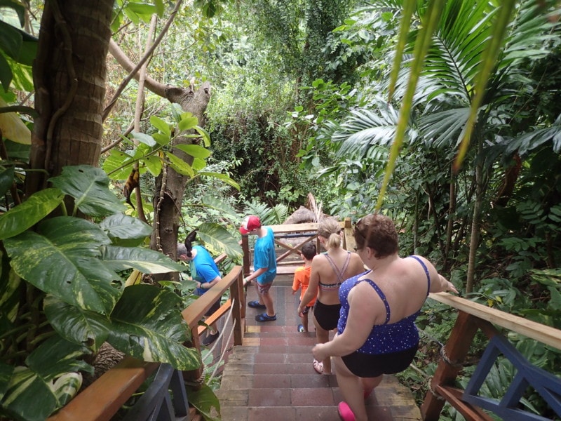 stairs leading down to the base of Konoko Falls things to do Jamaica