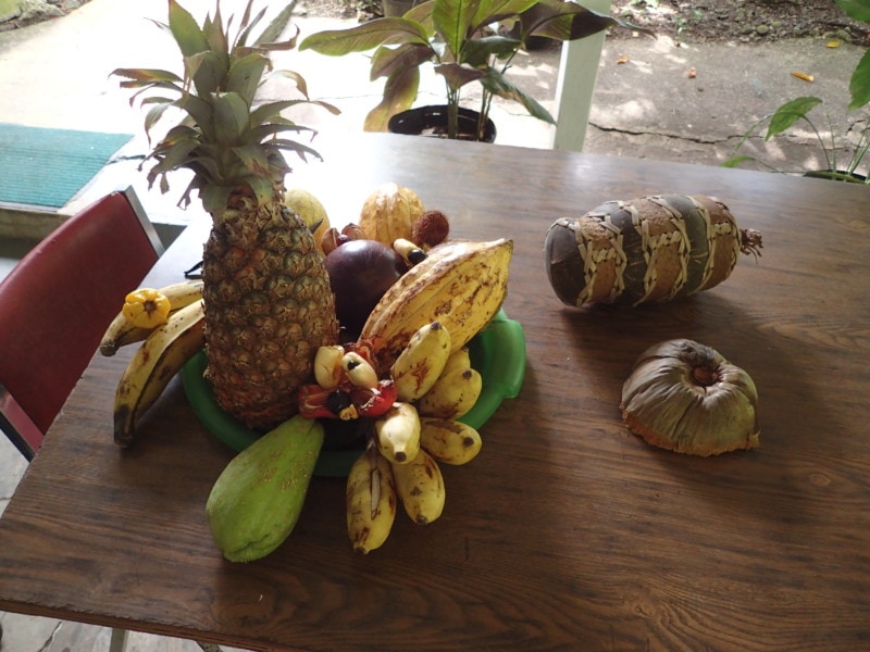 tray of local fruits at plantation Jamaica
