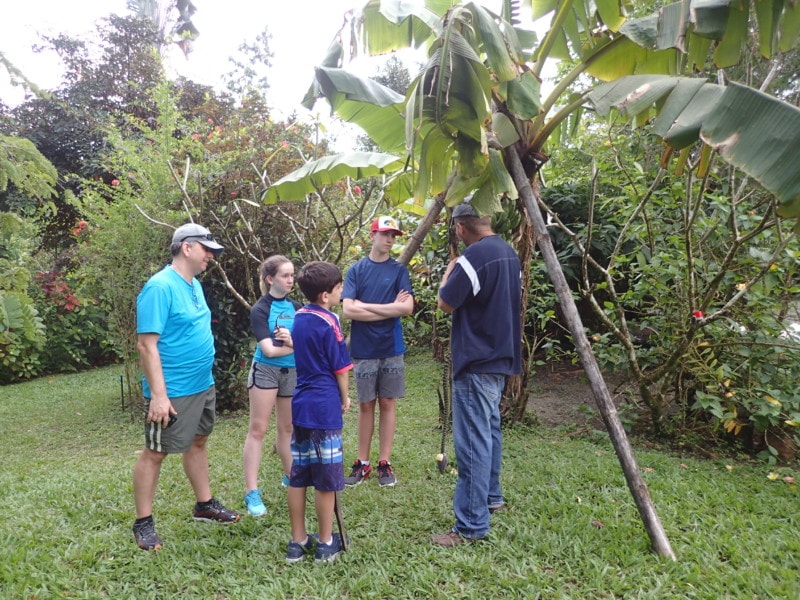 Brian showing family parts of banana tree