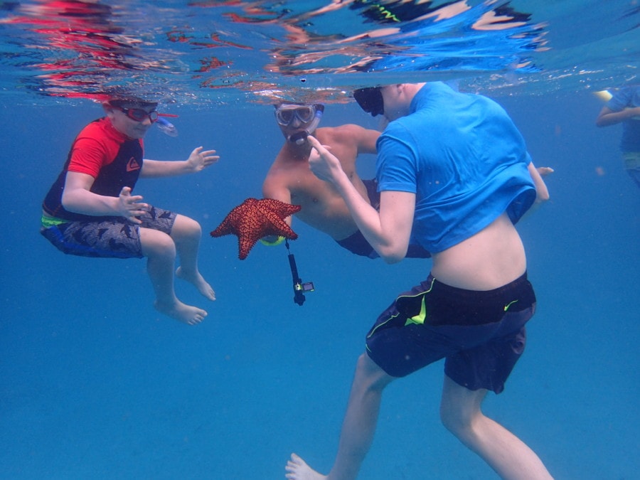 another dad wearing snorkel gear holding orange hand size starfish and my two boys looking at it