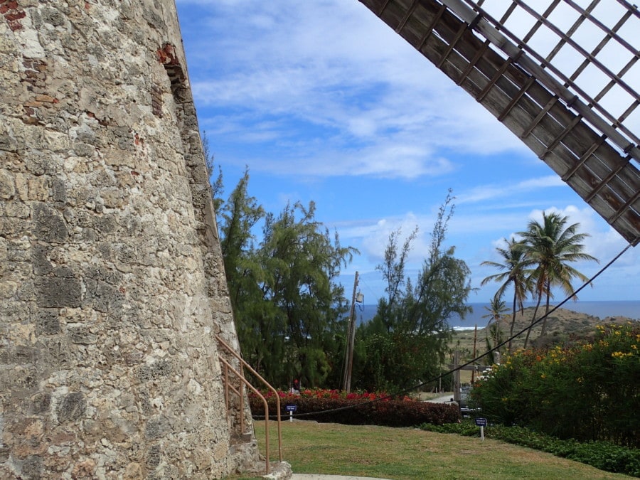 windmill with palm trees and ocean is wonderful picture of Barbados