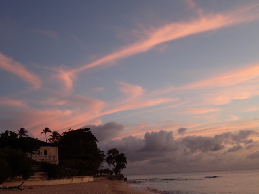 pink and blue sunset with house and trees to left and ocean to right