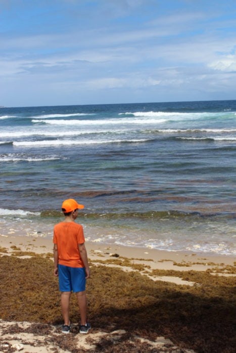 Boy with orange shirt and blue shorts watching waves coming to moss filled beach