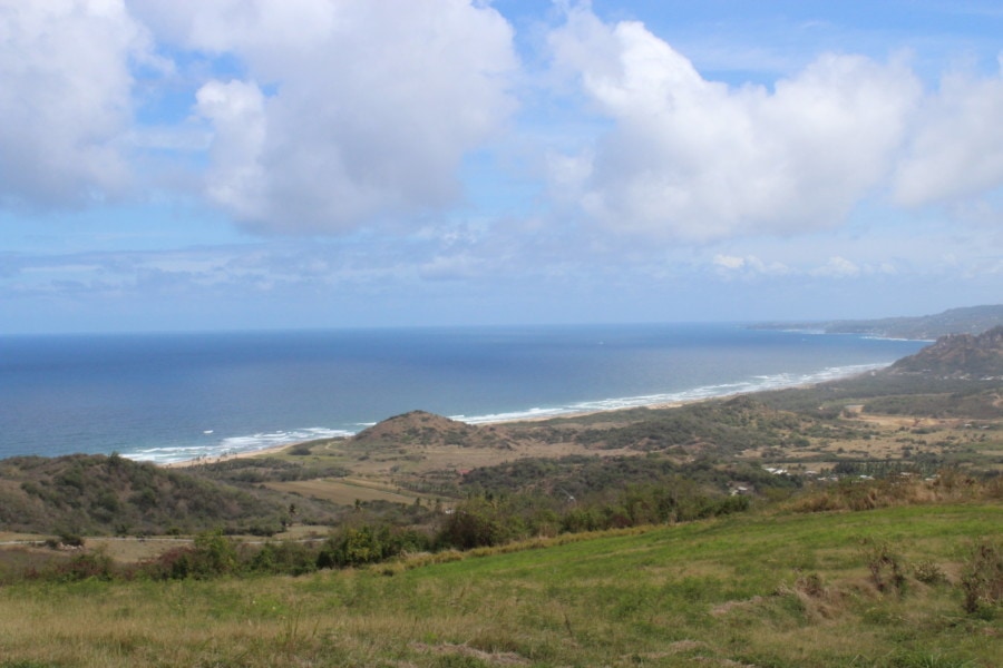 expansive view of greenery, cliffs and ocean