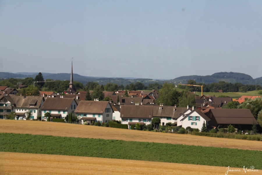 yellow and green field with traditional swiss homes in background as seen from train on way to Rheinfall, Schaffhausen and Stein am Rhein