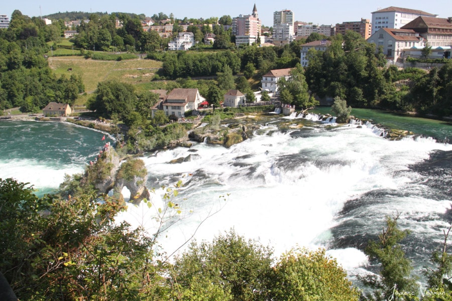 trees in front of rushing Rheinfall waterfall with houses and viewing locations on other side of water