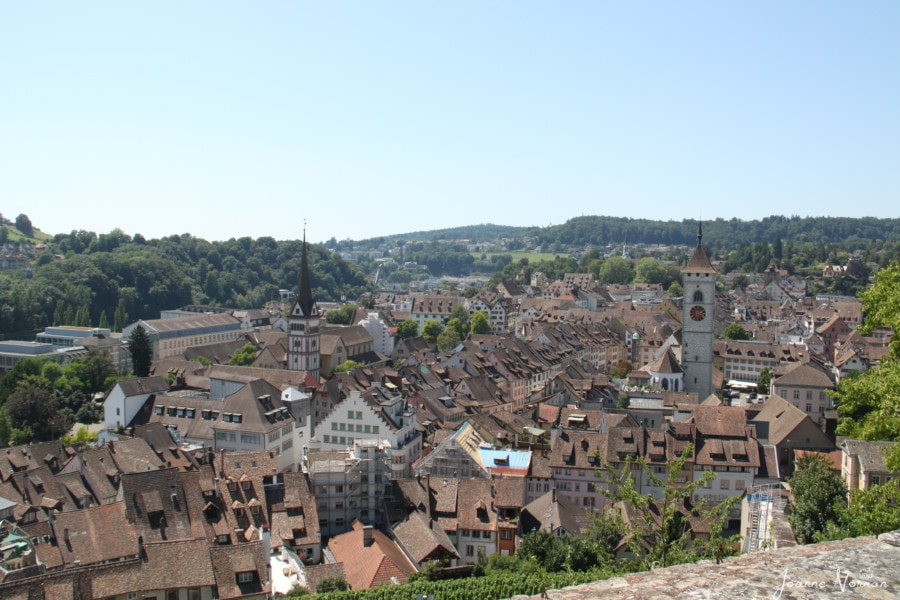 a view looking over Schaffhausen and seeing orange roofs and two church steeples