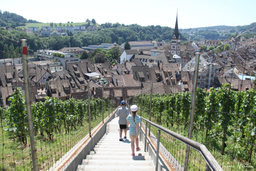 kids walking down stairs of Munot with vineyards on each side