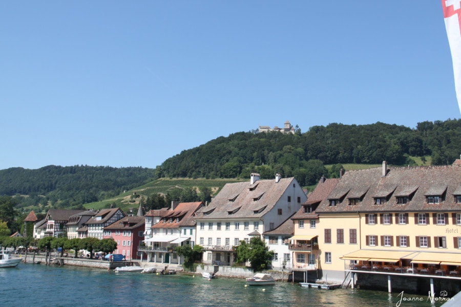 view of the Rhine River with large pretty buildings along the edge with a green hill behind and a castle on top