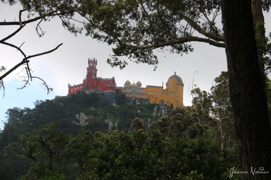 view of red and yellow castle on top of hill on daytrip from Lisbon to Sintra