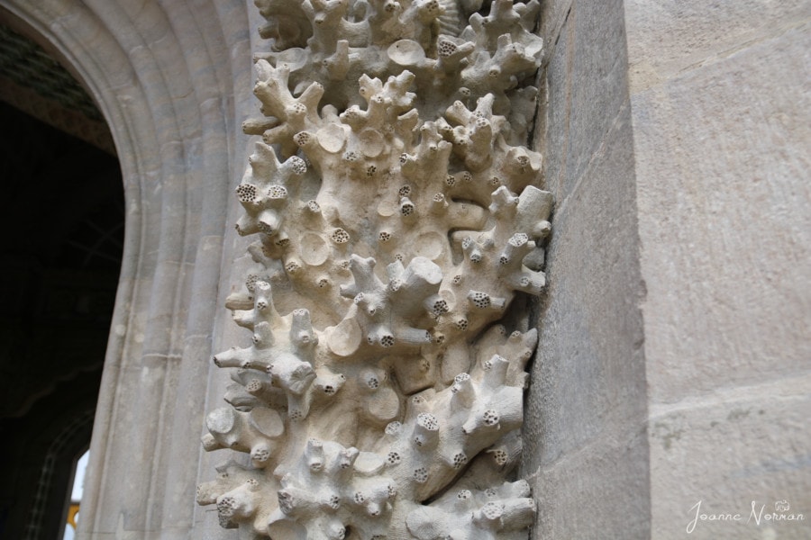 stone made to look like coral on walls