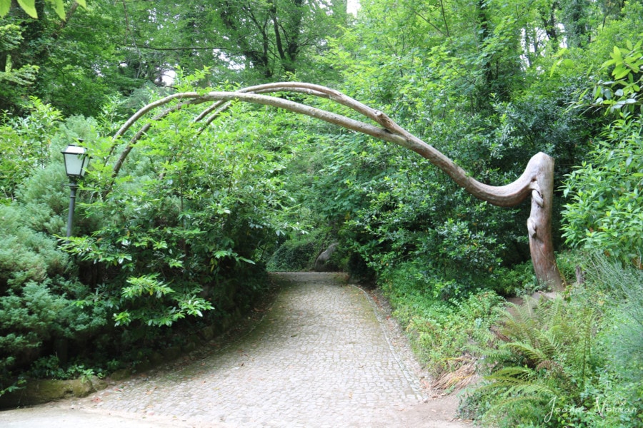 arched branch over stone walkway on daytrip from Lisbon to Sintra