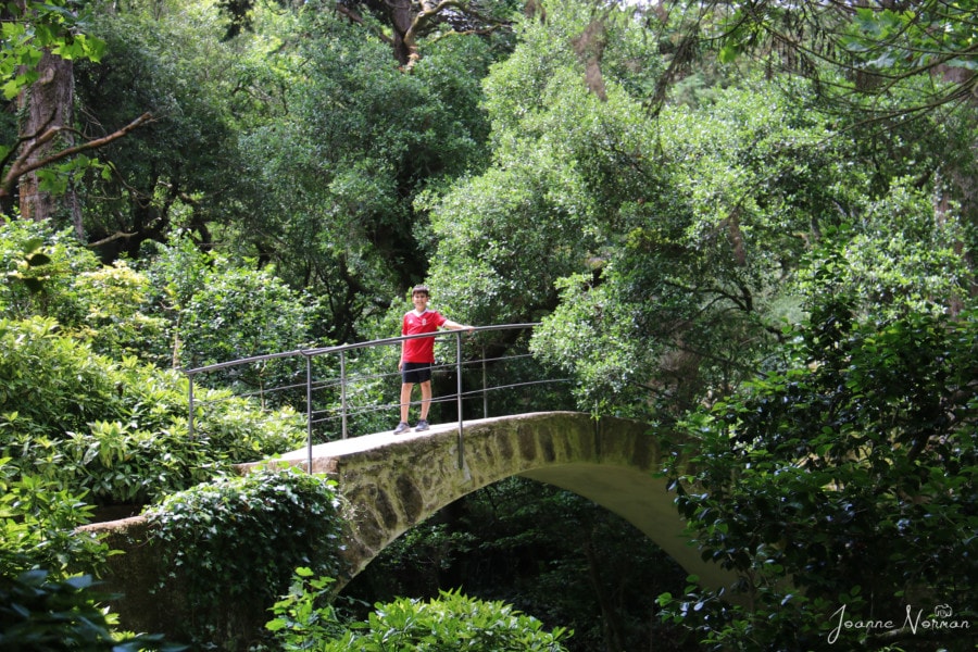 boy in red tshirt standing on stone bridge arched over small body of water in Pena Palace Park