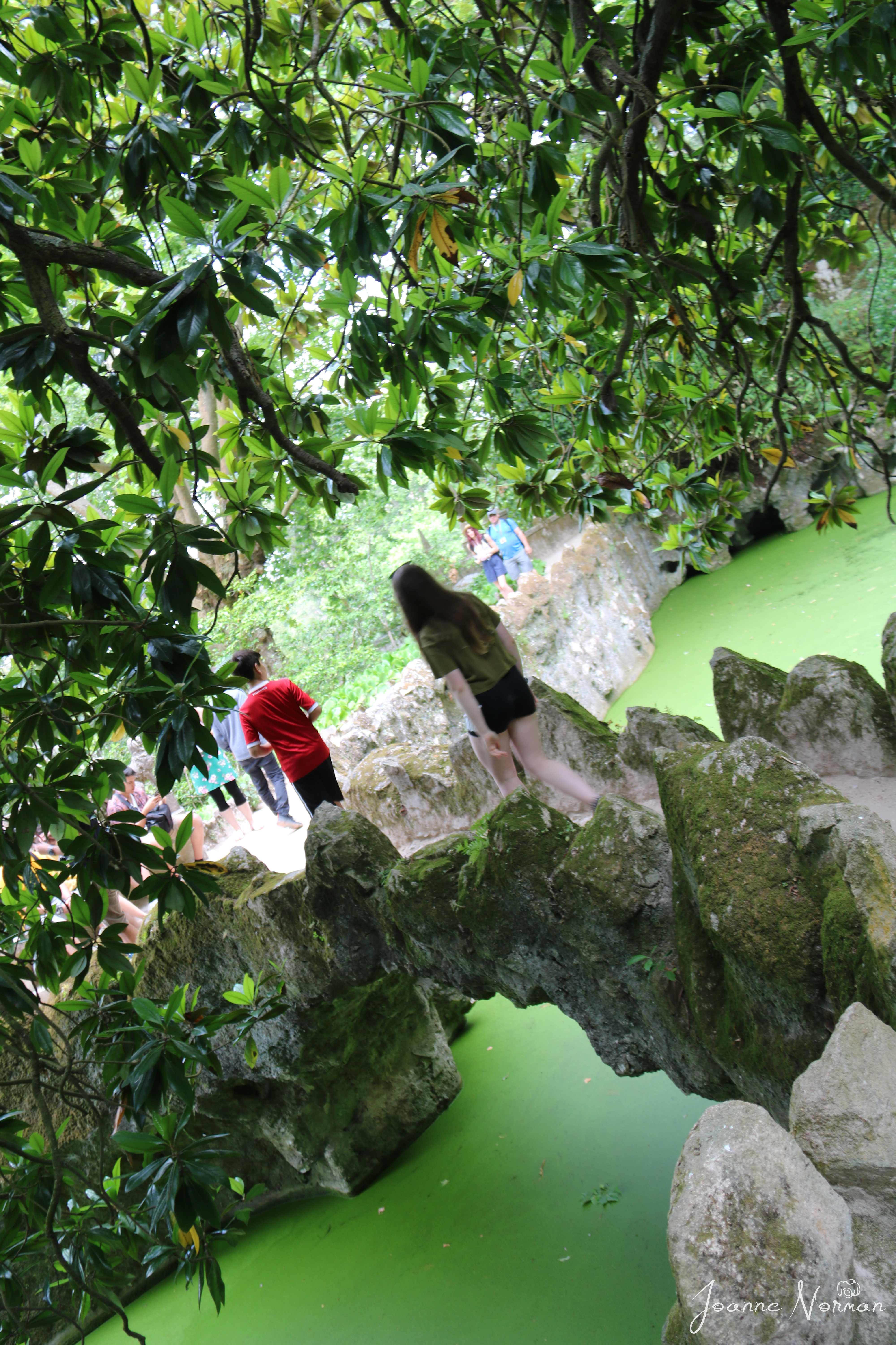 kids walking across stone bridge over green covered body of water