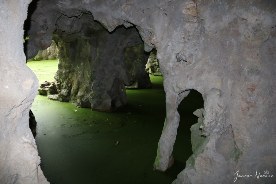 looking out from inside cave