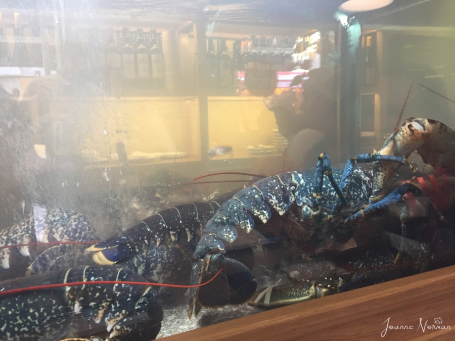 tank with many large live lobsters at BaixaMar alfama restaurant