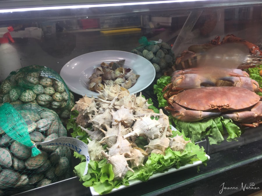 display cabinet filled with different shells and shell fish including crab at BaixaMar