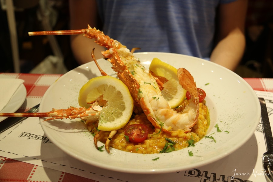 white plate with risotto and half lobster at Maria Catita seafood restaurant in Lisbon Alfama restaurant