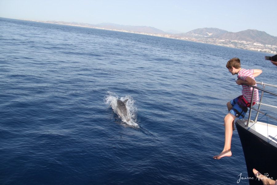 Lucas hanging at point of boat watching dolphins in water Spain itinerary with kids