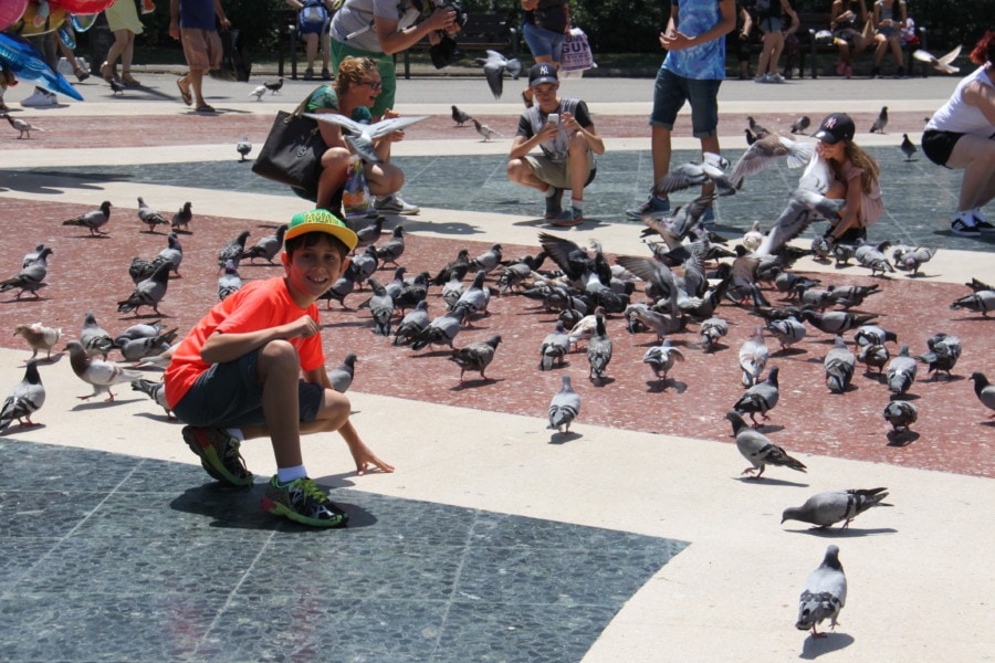 kids in orange shirt playing with pigeons is things to do in Barcelona with kids