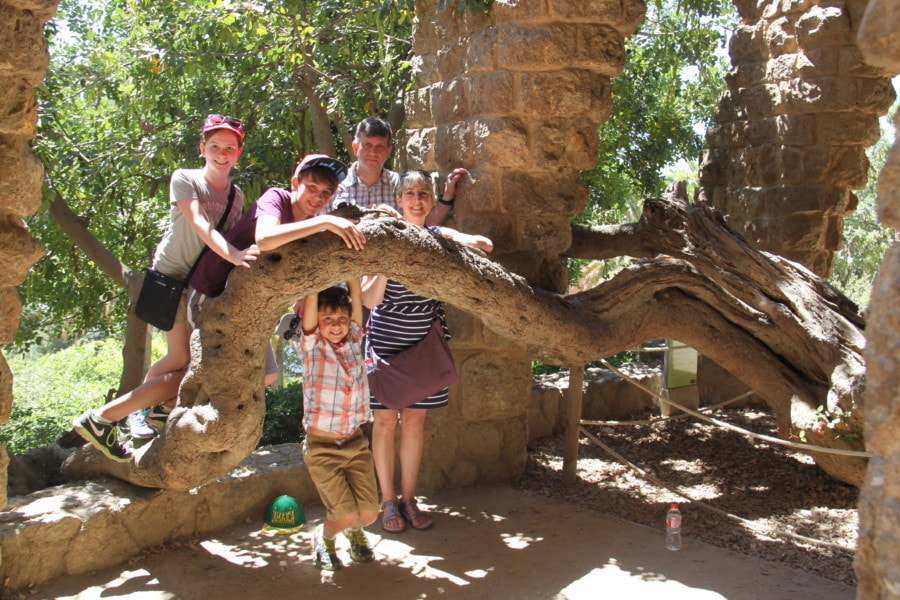 family hanging on a tree trunk in park guell