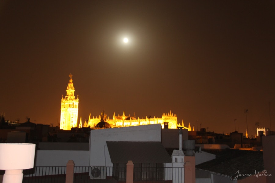 distant view of Seville Cathedral lit up at night