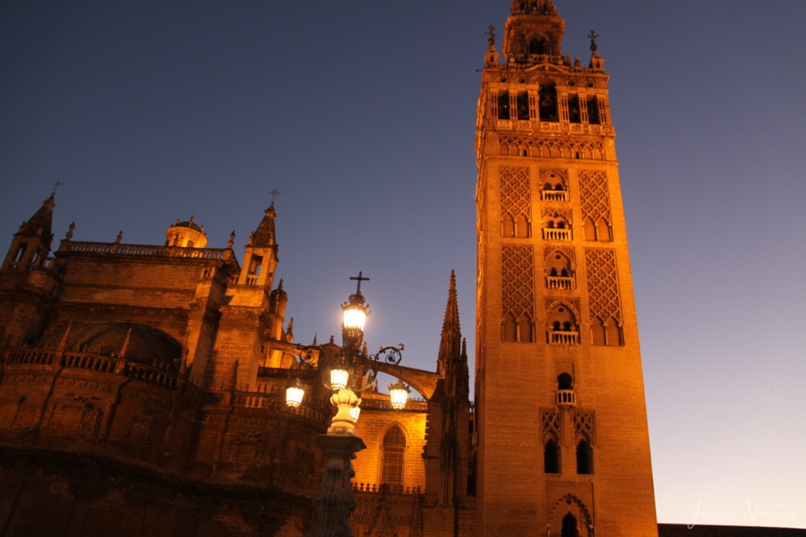 cathedral lit at night 3 days in Seville