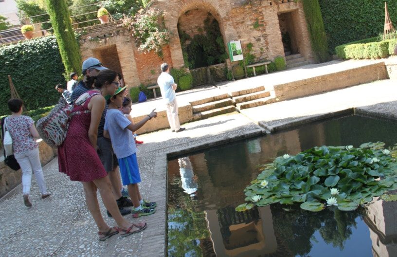 guide in pink dress talking with small boy looking at water lilies
