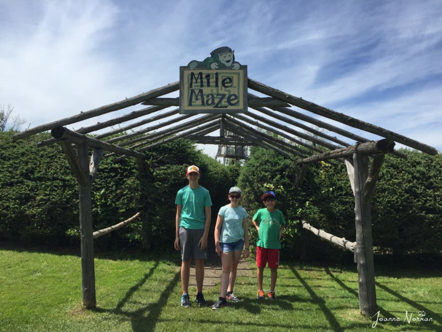 three ottawa kids at entrance to maze