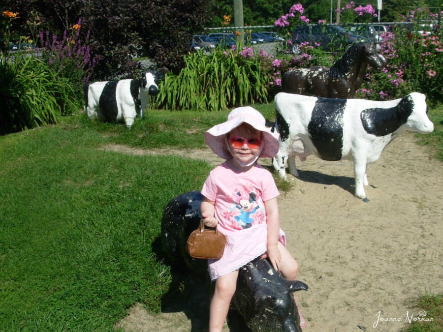 toddler girl in pink hat and skirt sitting on fake black cow is fun in Ottawa with kids