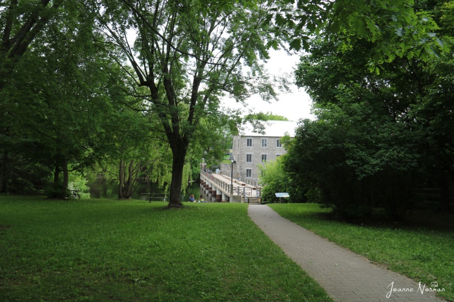 park with mill in the distance