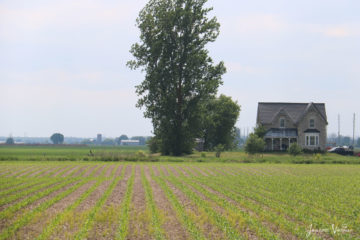 brick farmhouse next to strawberry fields Summer Weekend Getaway Ontario
