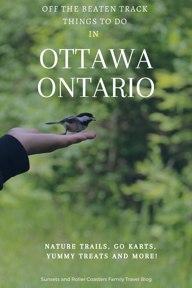 Kids bored? Enjoy the many unique summer things to do in Ottawa with kids and teens. Leave the downtown core and explore some special places that even the local residents don’t know about! Nature trails, go-karts, yummy treats and more! #travelwithkids #ottawa #canadatravel #ottawatravel #familytravel #ottawakids 