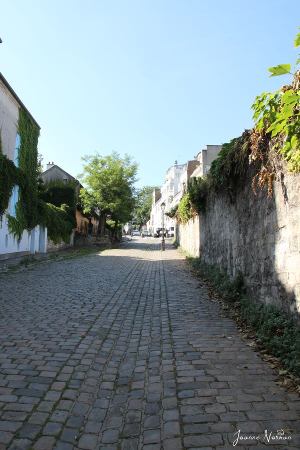 cobblestone street with walls and greenery on each side is hidden gem in Paris