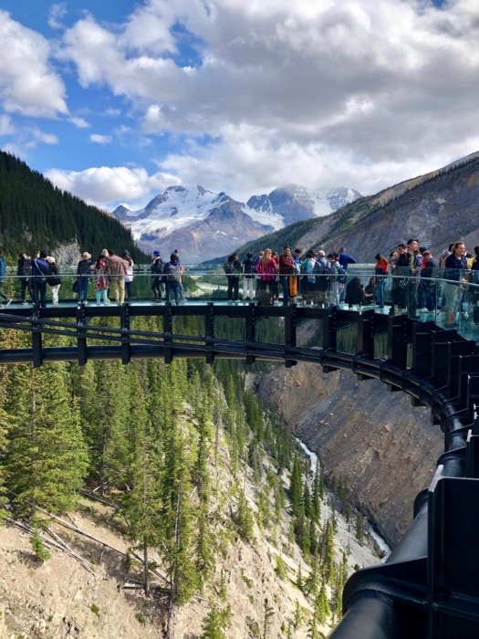 people on platform overlooking gorge at Columbia icefields