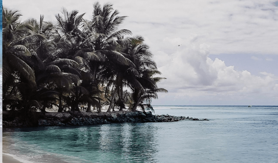 outcropping of land with palm trees into water instagrammable caribbean dominican republic
