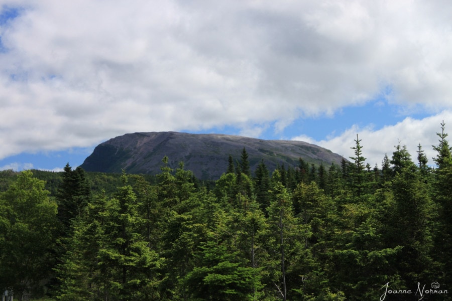 rock mountain is Gros Morne great stop summer in Canada