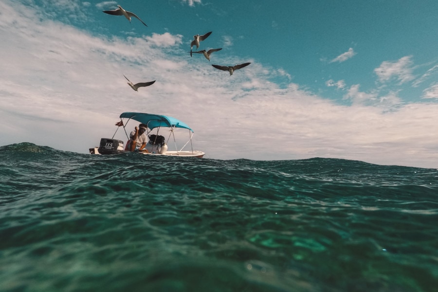 boat floating in water with birds above belize