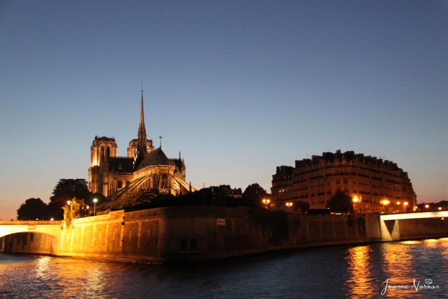 the back of notre dame glowing in night lights
