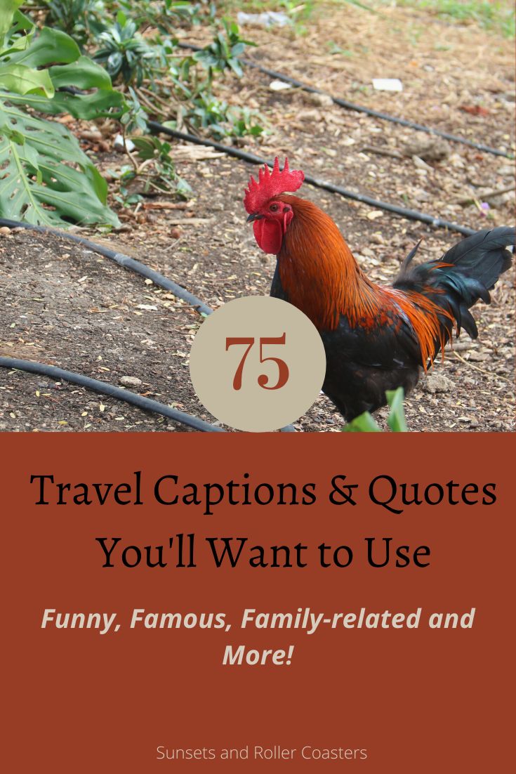 You don't want to miss the 75 best travel captions and quotes! Save them so you have fantastic travel captions at your fingertips when prepping your instagram feed or to drop at your friends when they ask why you love to travel so much. Whether you like funny travel captions, family travel quotes or travel quotes by famous people, so many reflect our own thoughts and feelings about travel. Enjoy! #travelquotes #travelcaptions #funnyquotes #familytravel #famousquotes #instagramcaptions